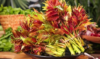 香椿怎么做好吃又简单(香椿怎么做好吃又简单家常做法)