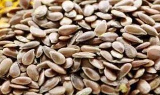 亚麻籽油怎么吃减肥(亚麻籽油怎么吃减肥的正确吃法)