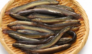 泥鳅的吃法与做法大全(泥鳅的吃法与做法大全视频)