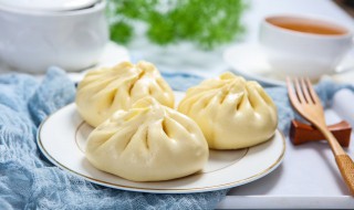 什么馅的包子好吃(什么馅的包子好吃做法大全)