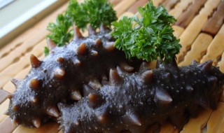 孕妇海参的做法与吃法(孕妇海参怎么吃最有营养)