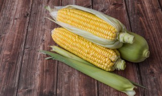 玉米渣糖饼的做法(玉米渣糖饼的做法窍门)