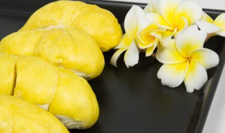 什么榴莲品种最好吃(什么榴莲品种最好吃口感好)