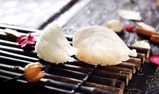 燕窝怎么煮(燕窝怎么煮法视频教程)