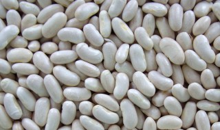 怎么样做芸豆好吃(怎么样做芸豆好吃窍门)