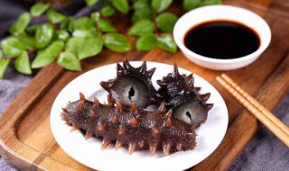 海参怎么吃比较好(海参的八种家常做法)
