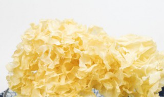 凉拌银耳(凉拌银耳需要焯水吗焯水几分钟)