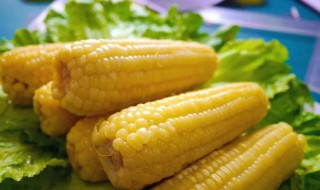 怎么煮玉米好吃(怎么煮玉米好吃窍门)